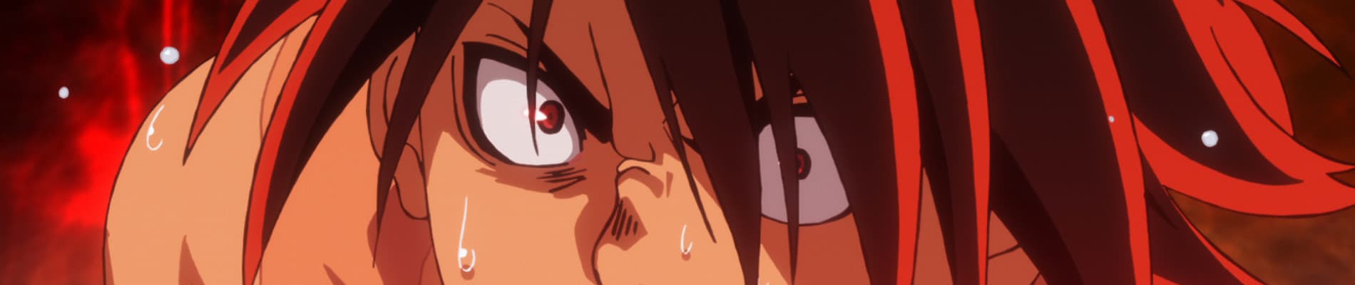 Hinomaru Sumo